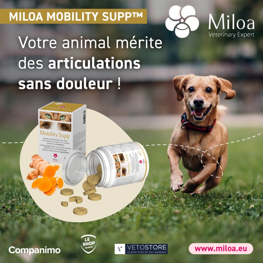 MILOA_campagne_novembre